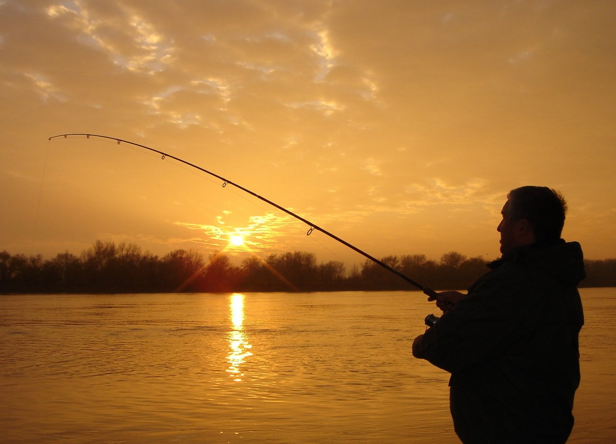 Удочка в руках