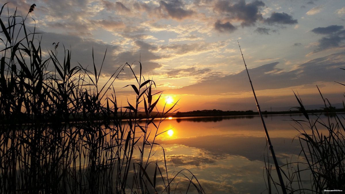 Фон рыбалка