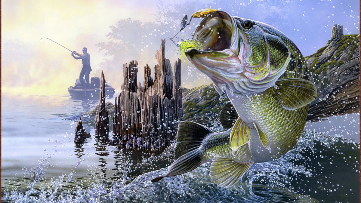 Спиннинговая рыбалка