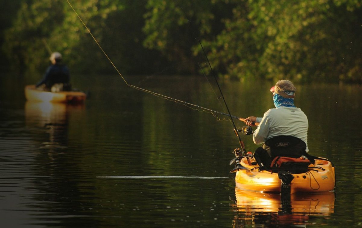 Пиранья Гери