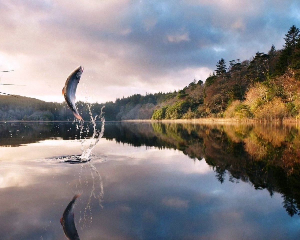 Фон рабочего стола рыбалка
