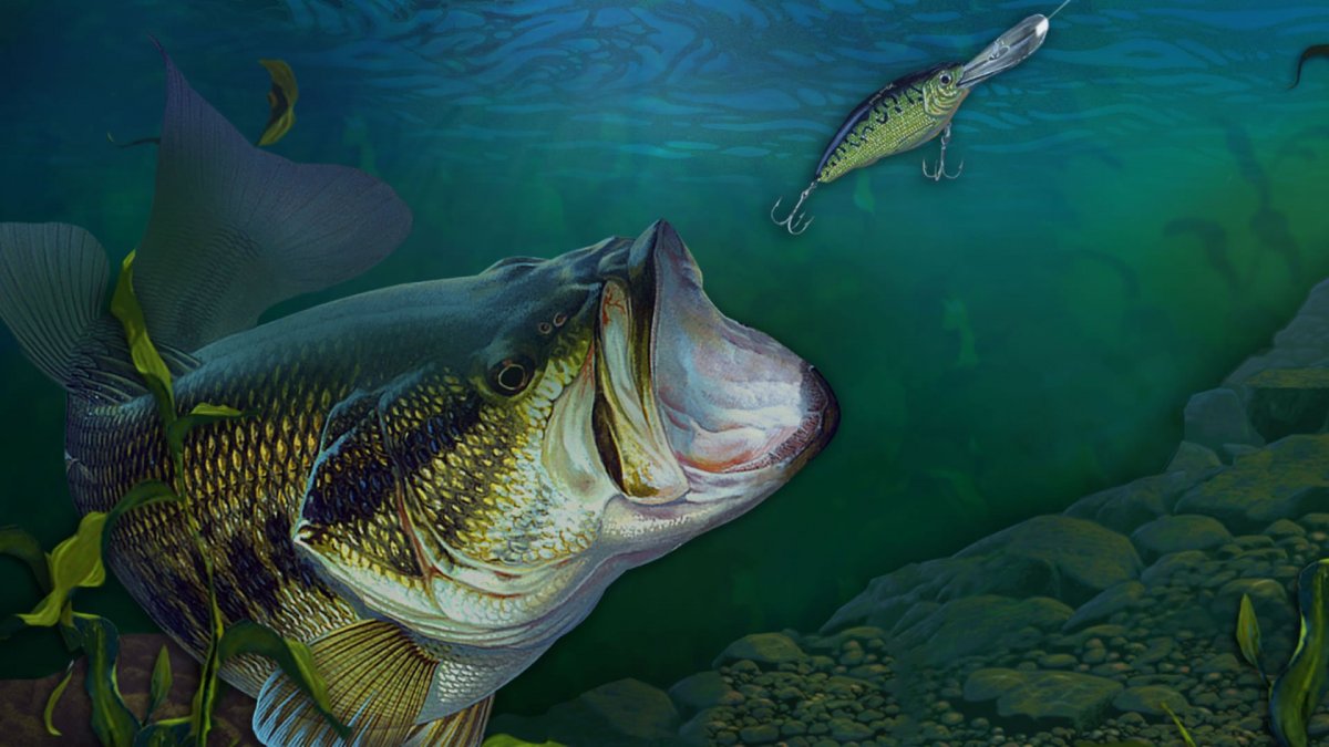 Заставка на рабочий стол рыбалка