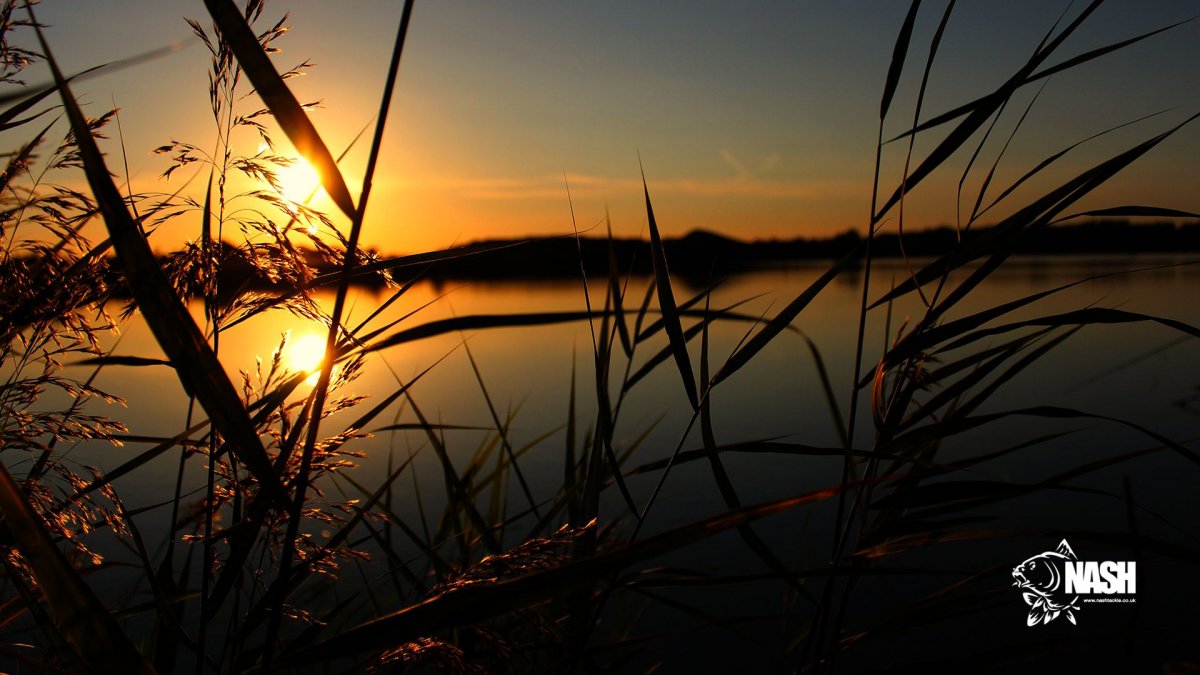 Калязин рыбалка