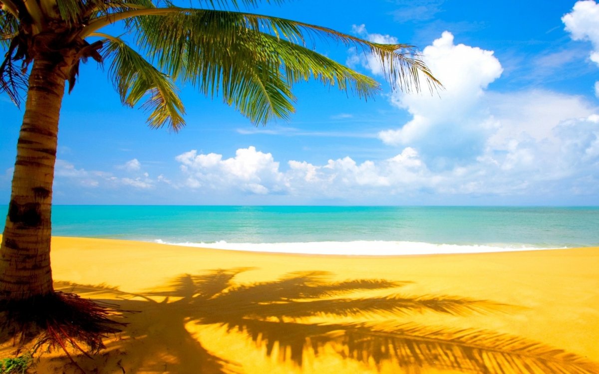 Море солнце пальмы