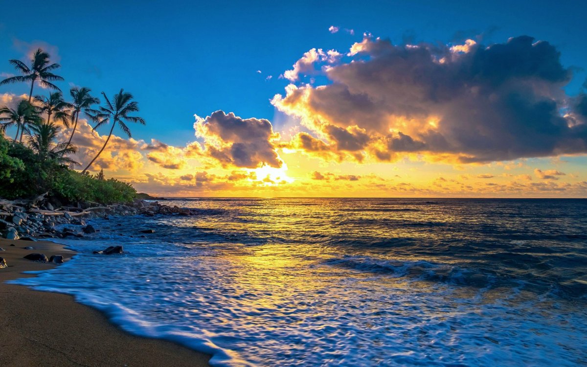 Шезлонг на берегу океана