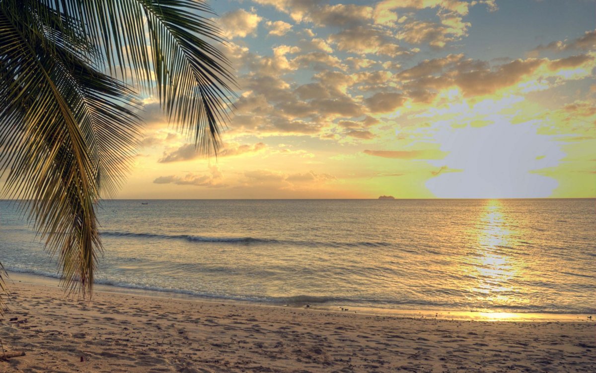 Морские картинки для обложки