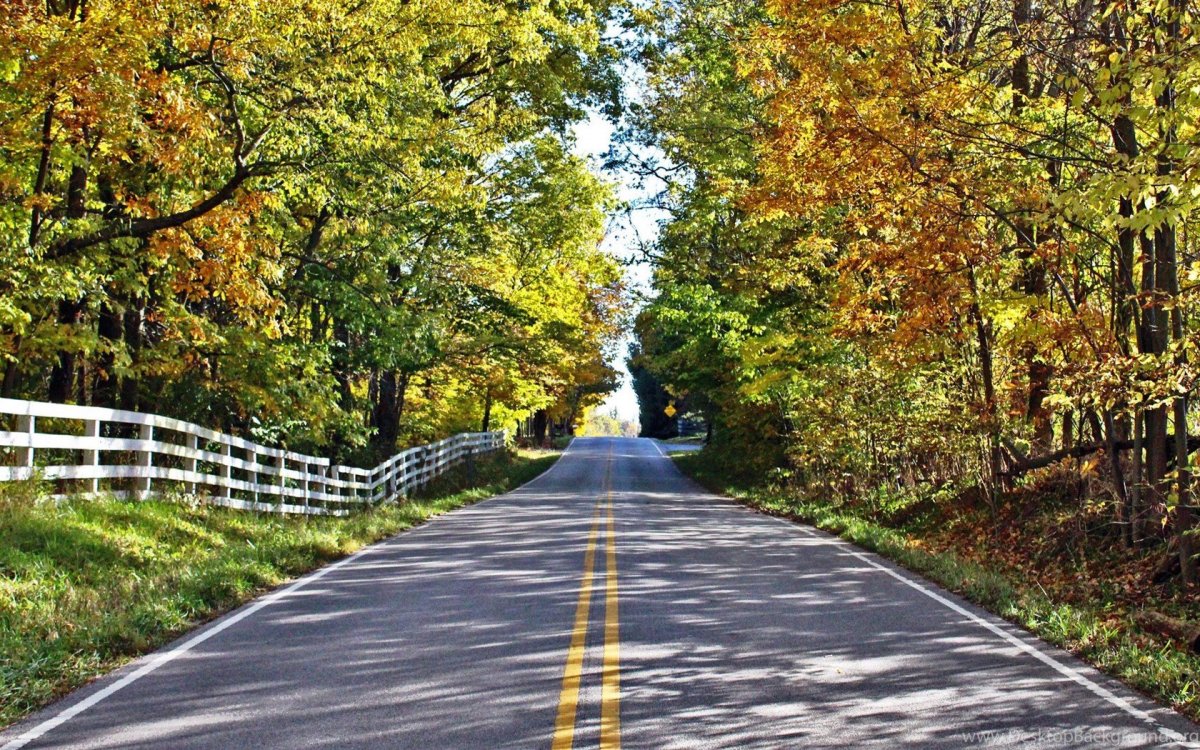 Осенняя дорога