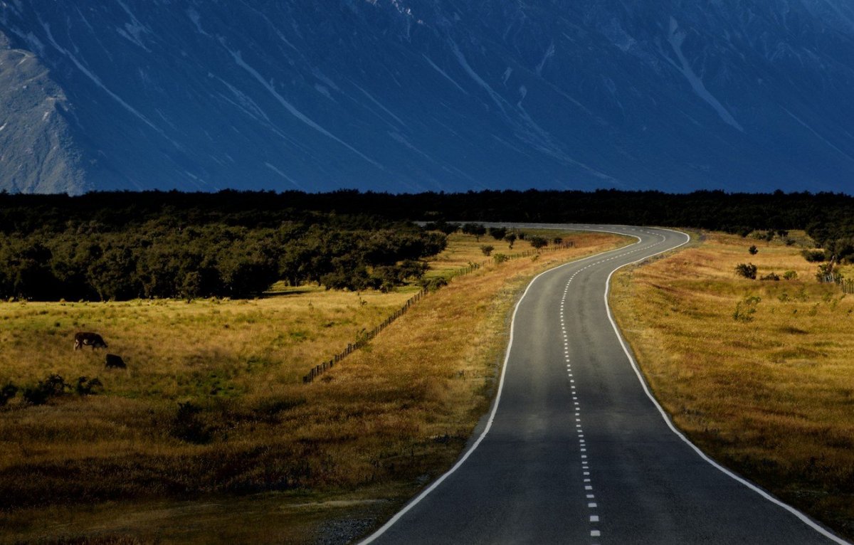 Пейзаж дорога