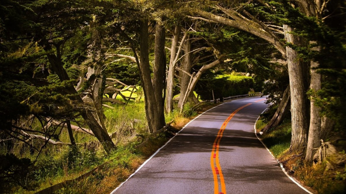 Красивые дороги мира