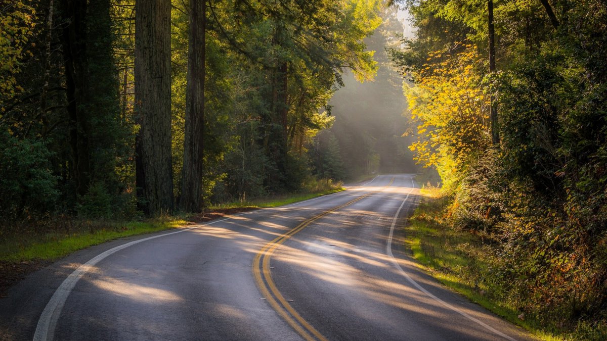 Красивая дорога