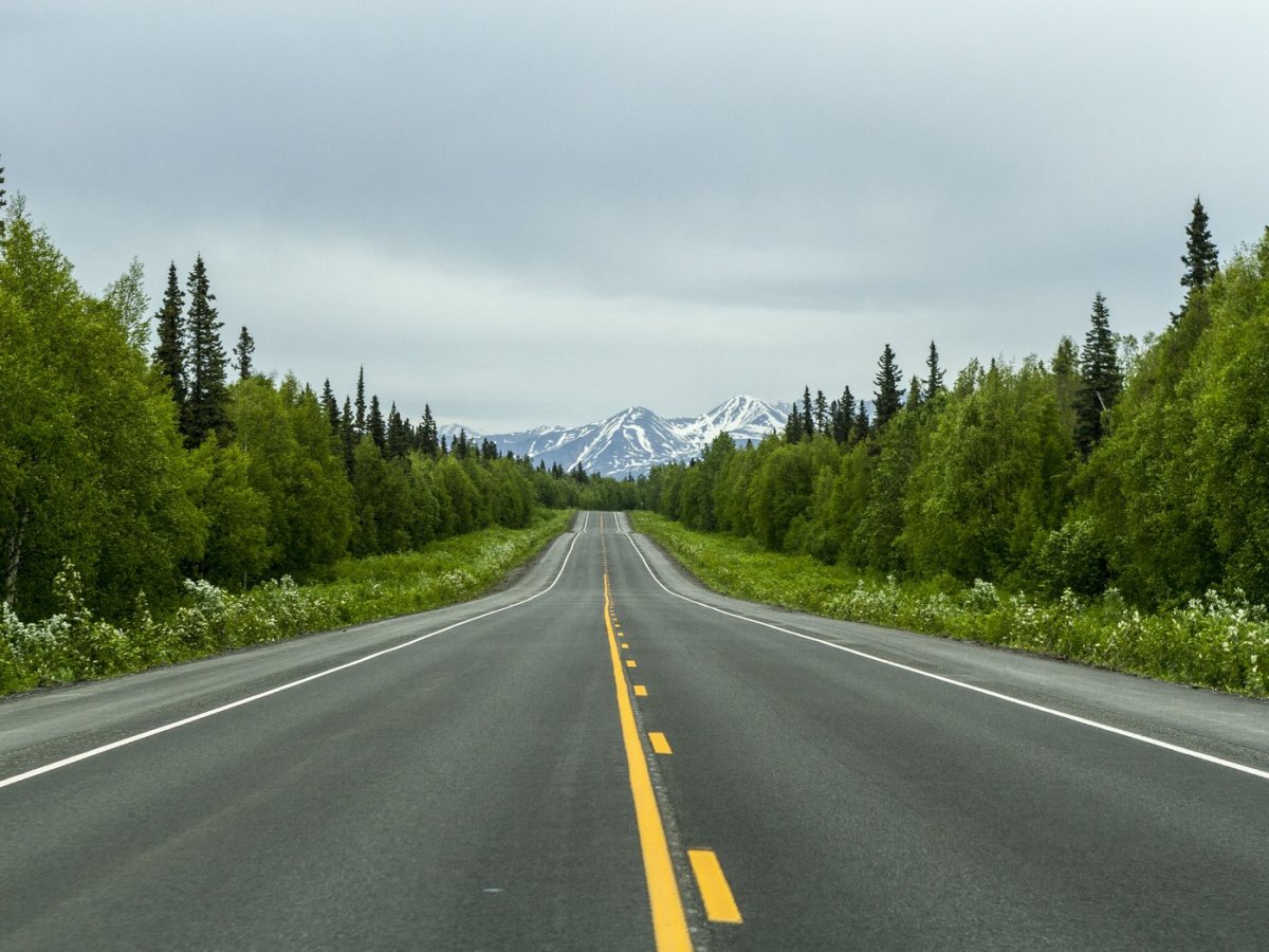 Природа дорога