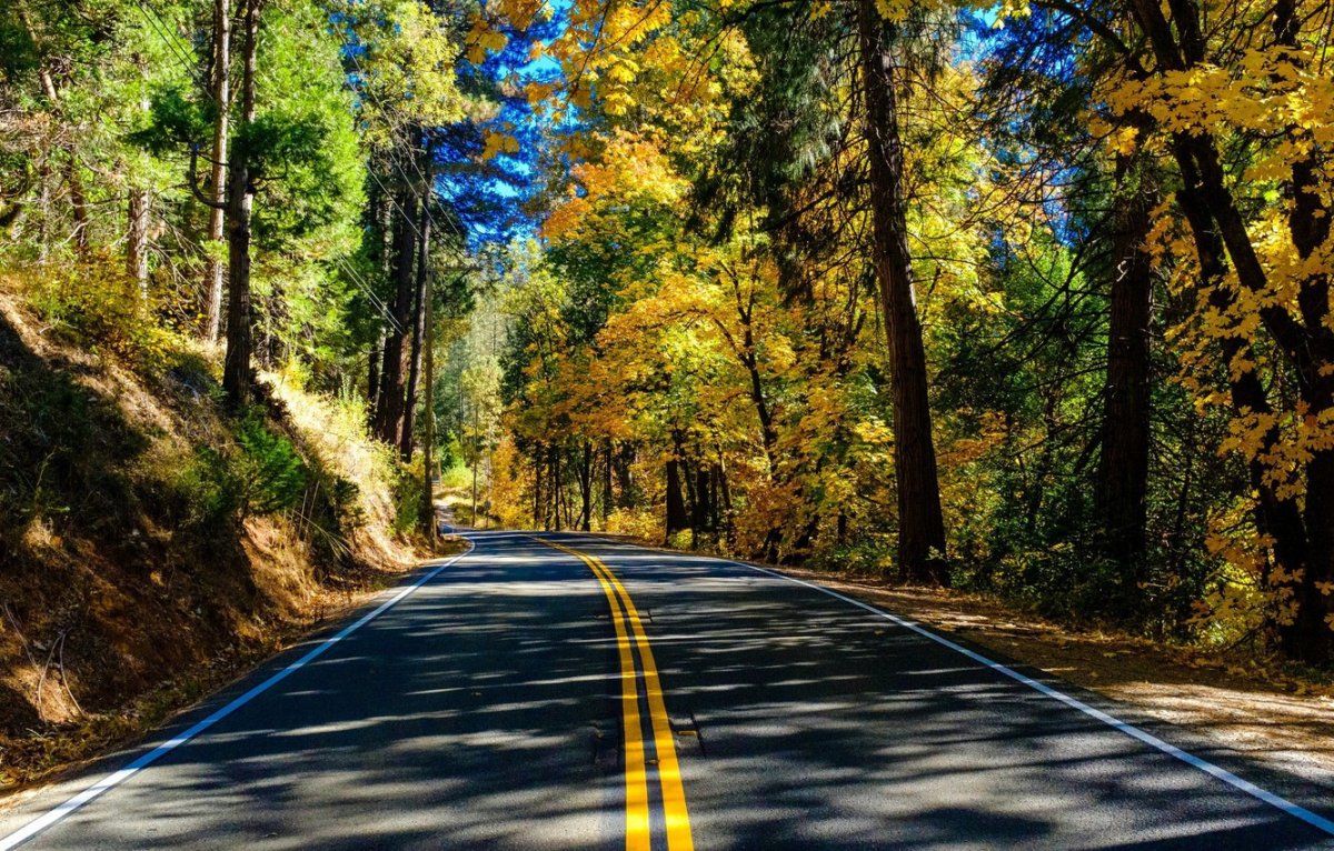 Красивая природа дорога