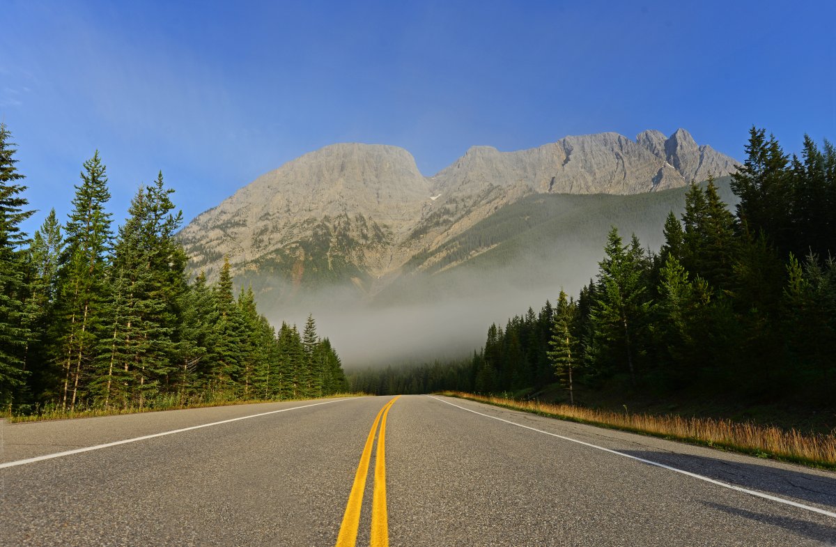 Лес и дорога Вашингтон