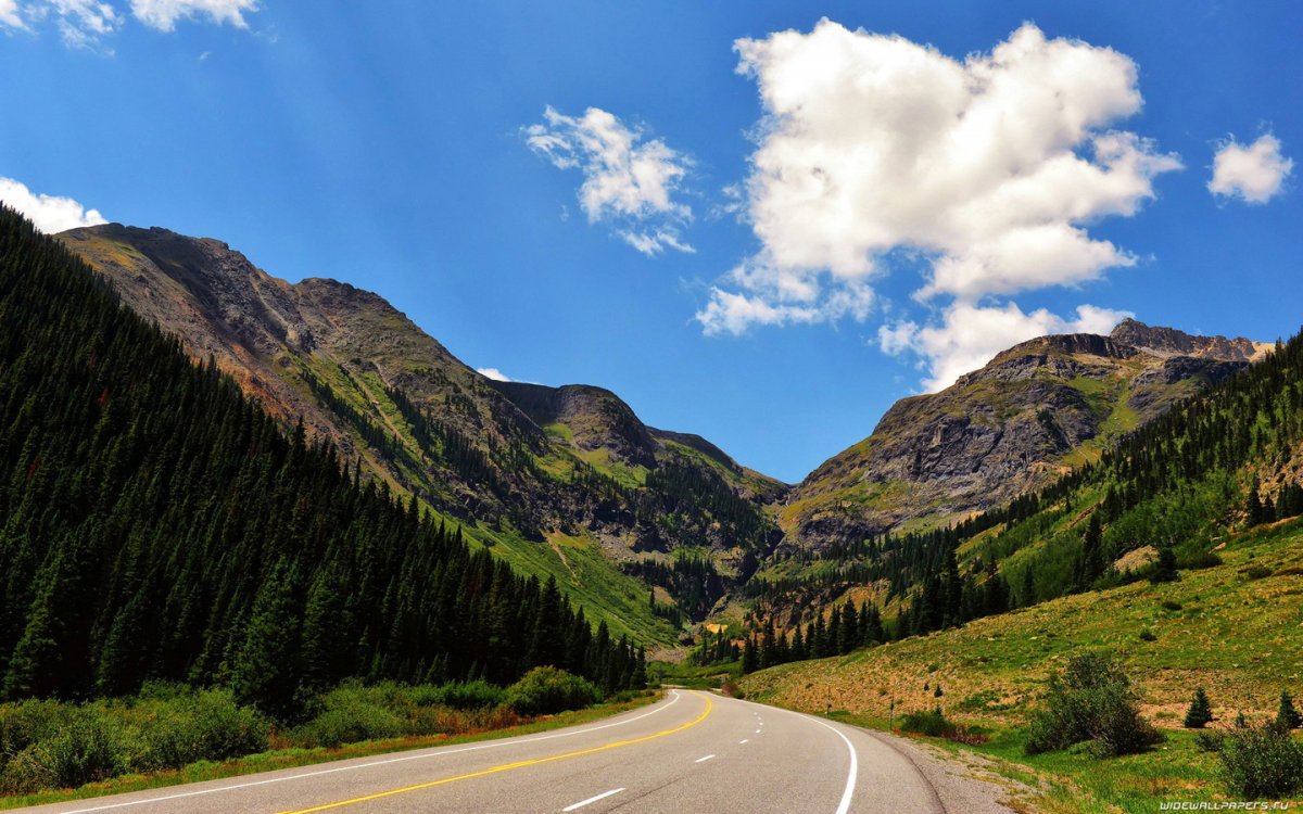 Летняя дорога