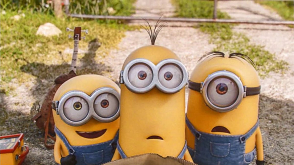 Весёлые обои на телефон