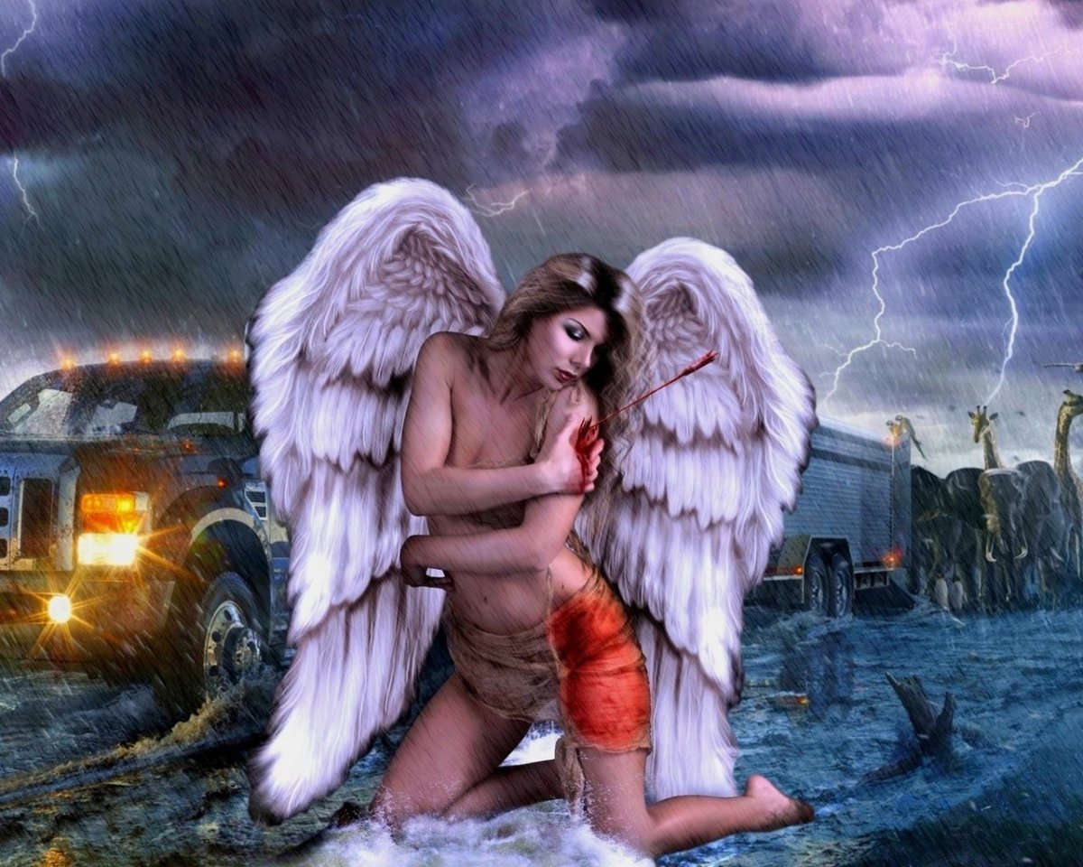 Раненый ангел