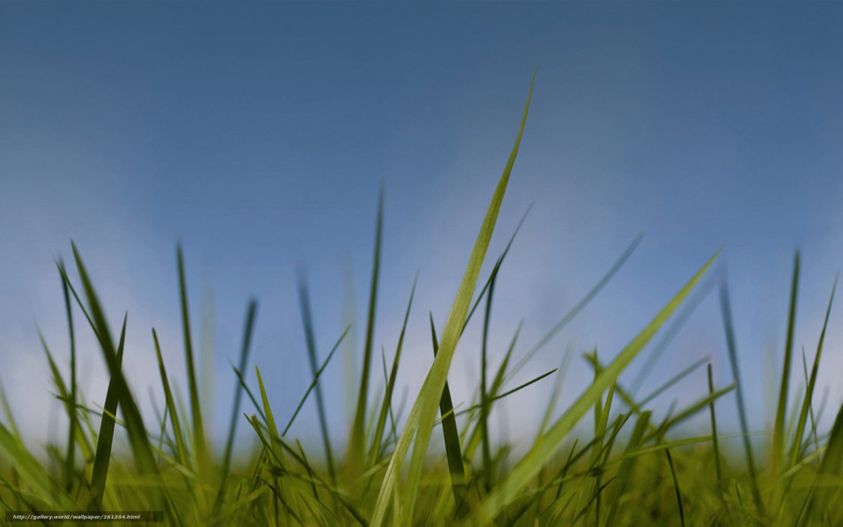 Nokia надпись