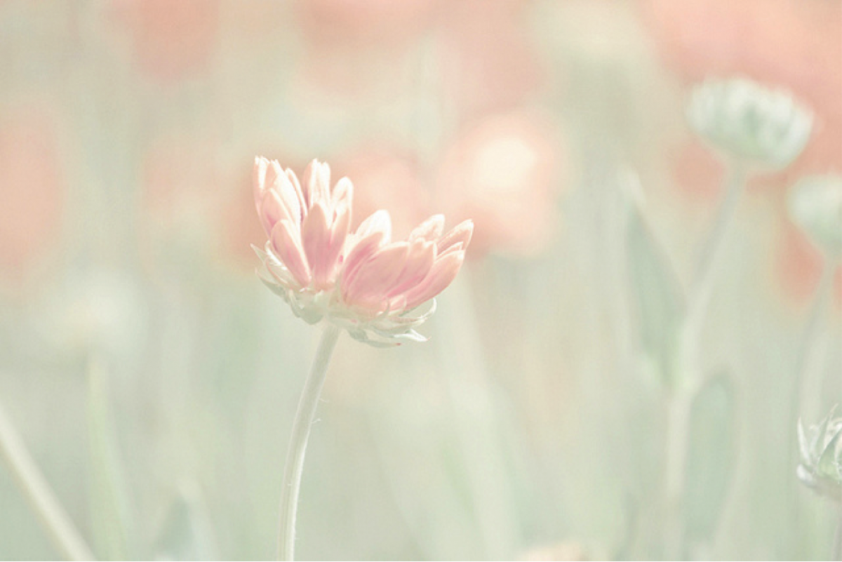 Пастельные тона