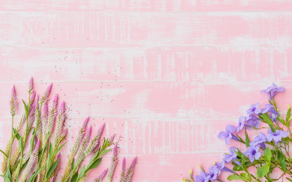 Красивый фон в пастельных тонах