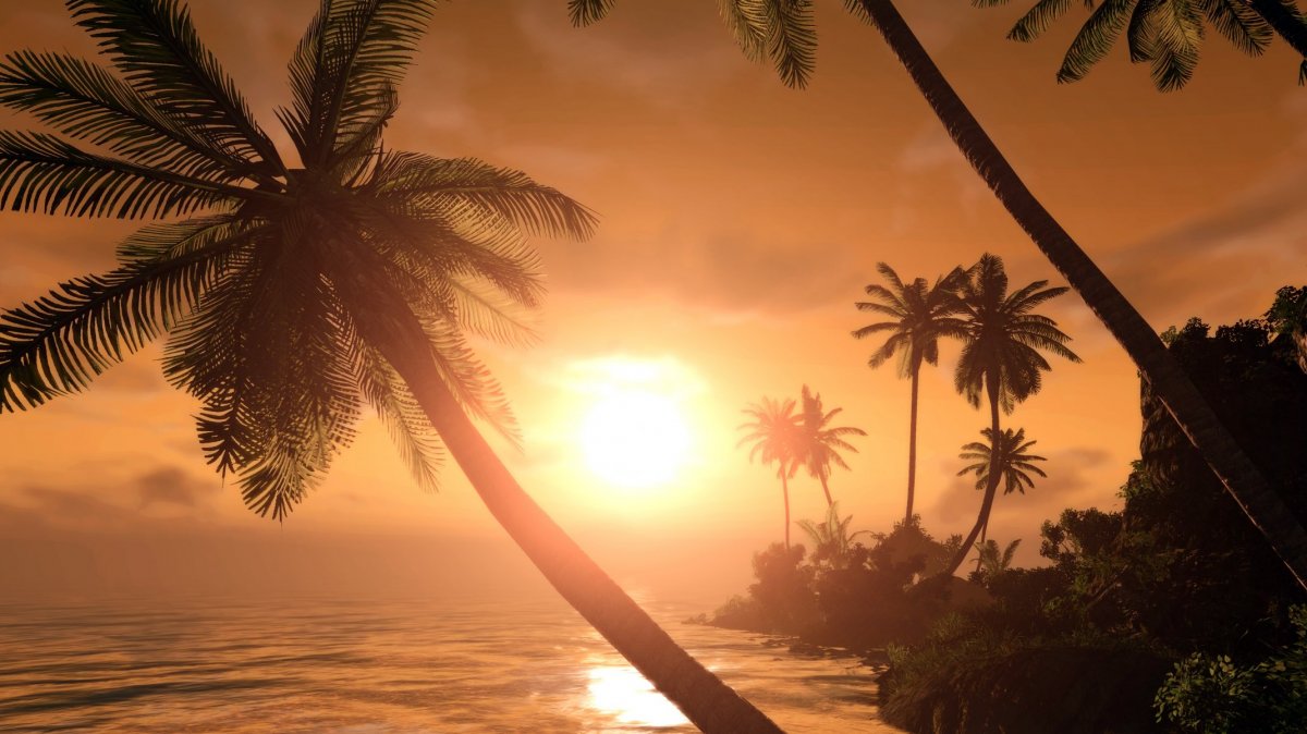 Фотообои Пальма на закате