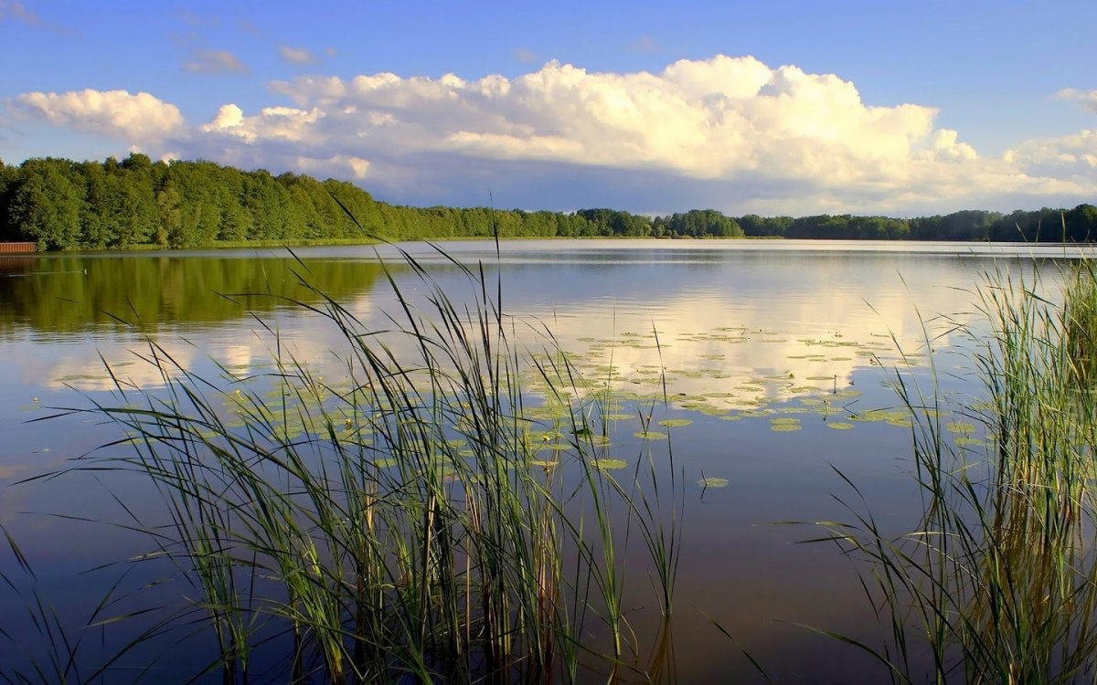 Рябинки Сокольский район деревня