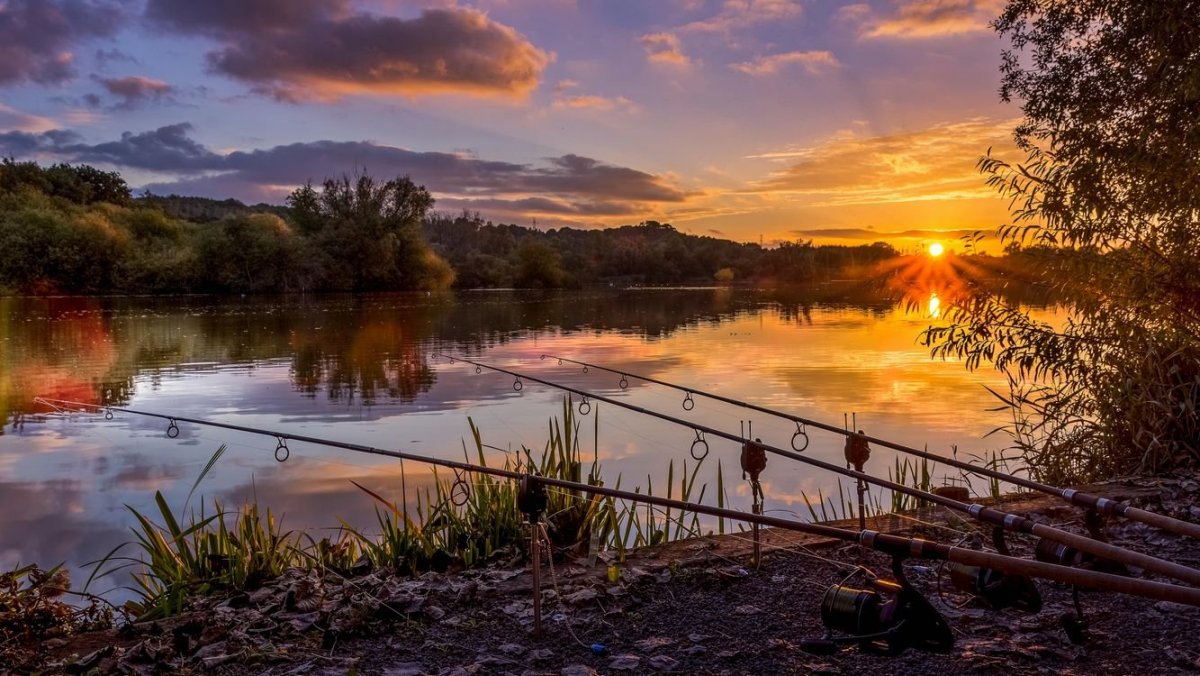 Красивые пейзажи на рыбалке
