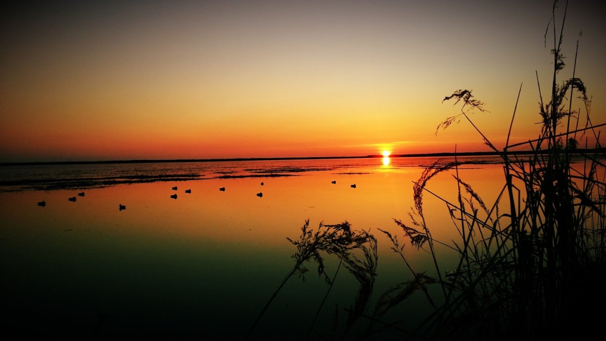 Обои на рабочий стол рыбалка