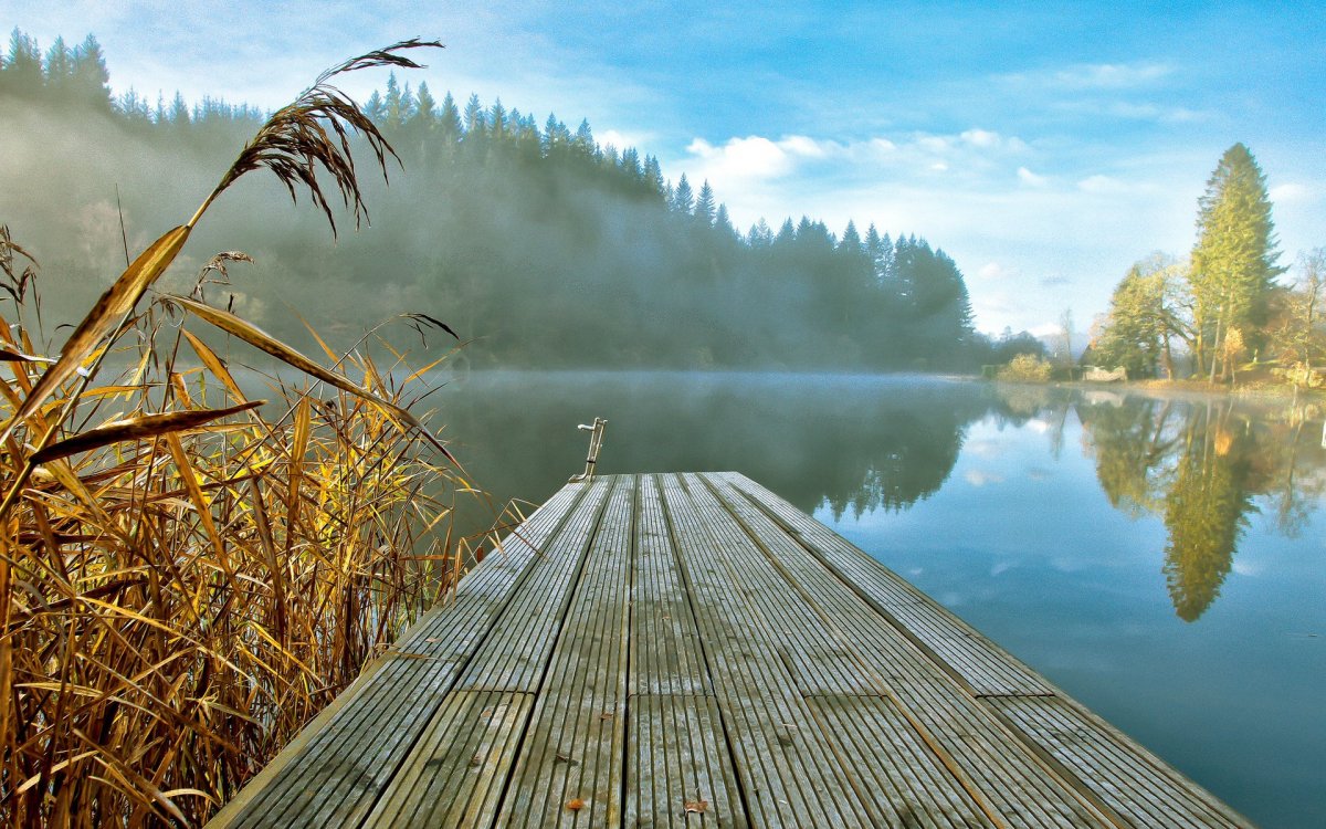 Тихая природа