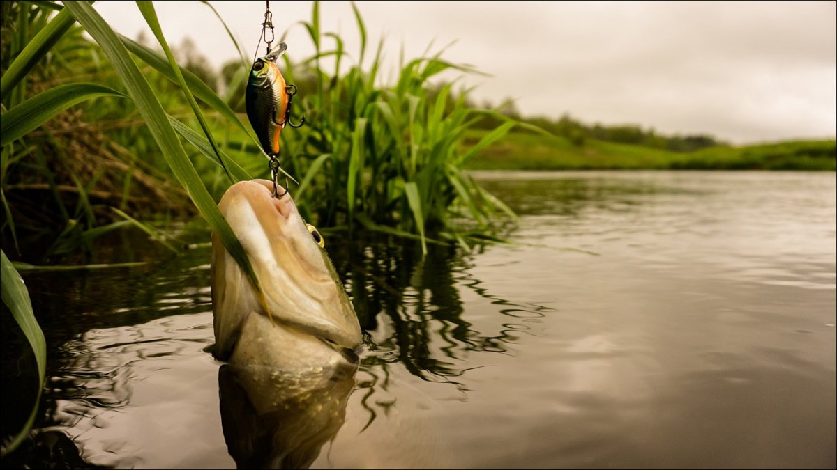 Природа рыбалка