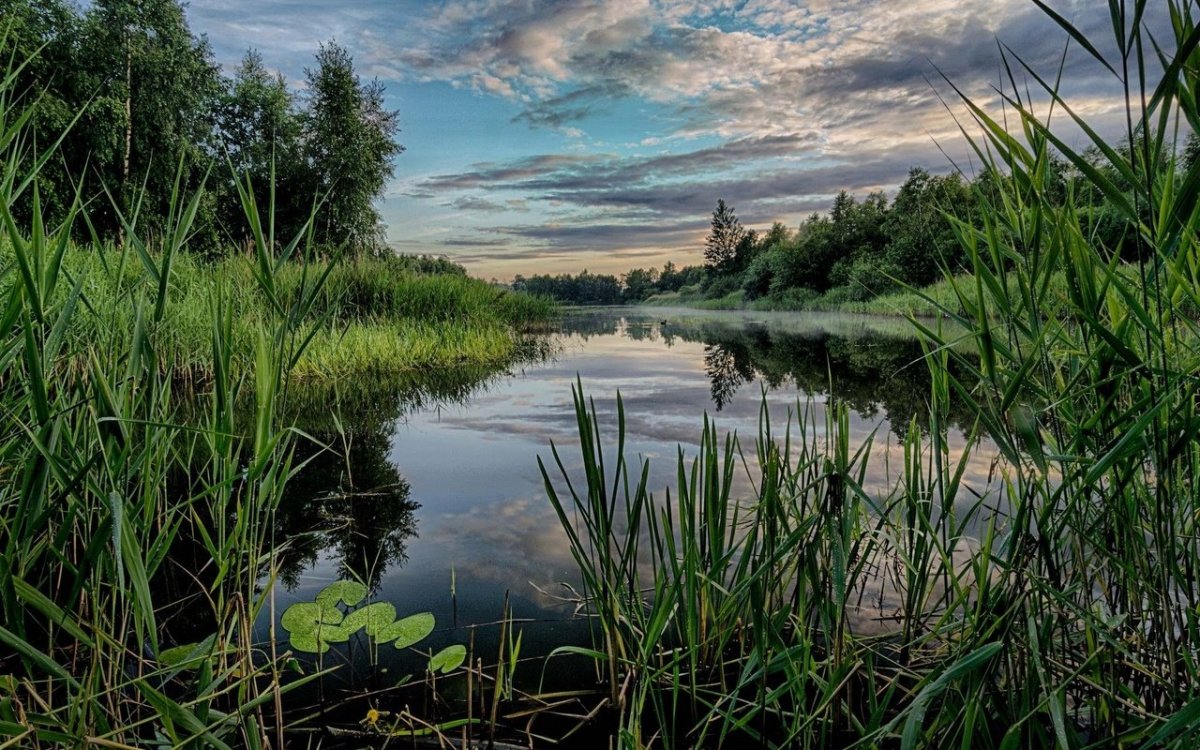 Река Порздня