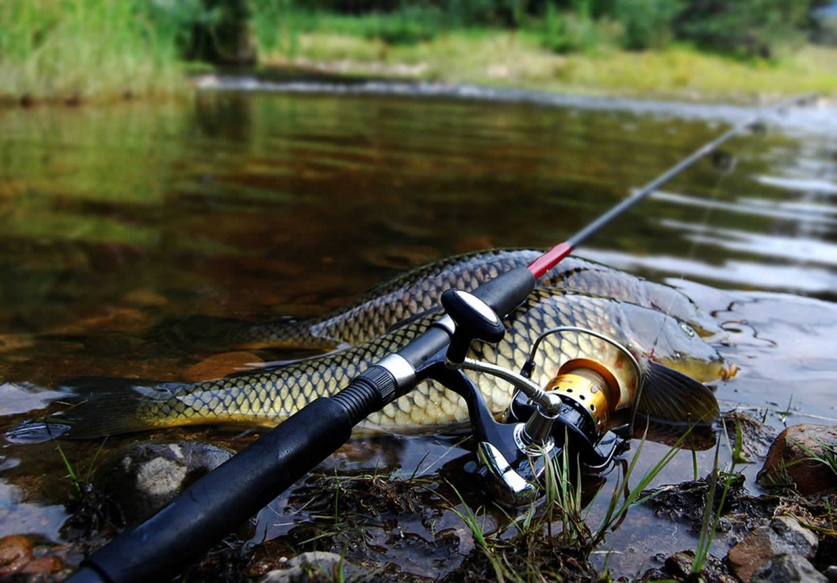 Красивая рыбалка