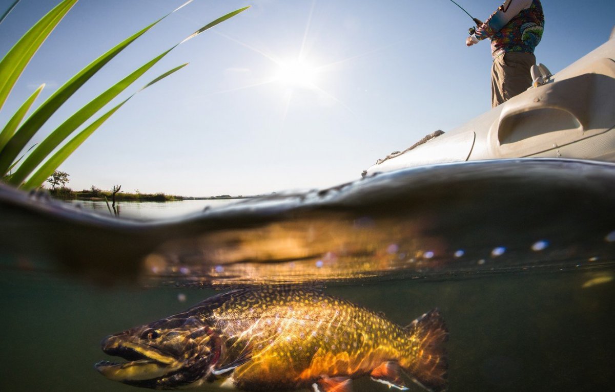 Заставка на рабочий стол рыбалка