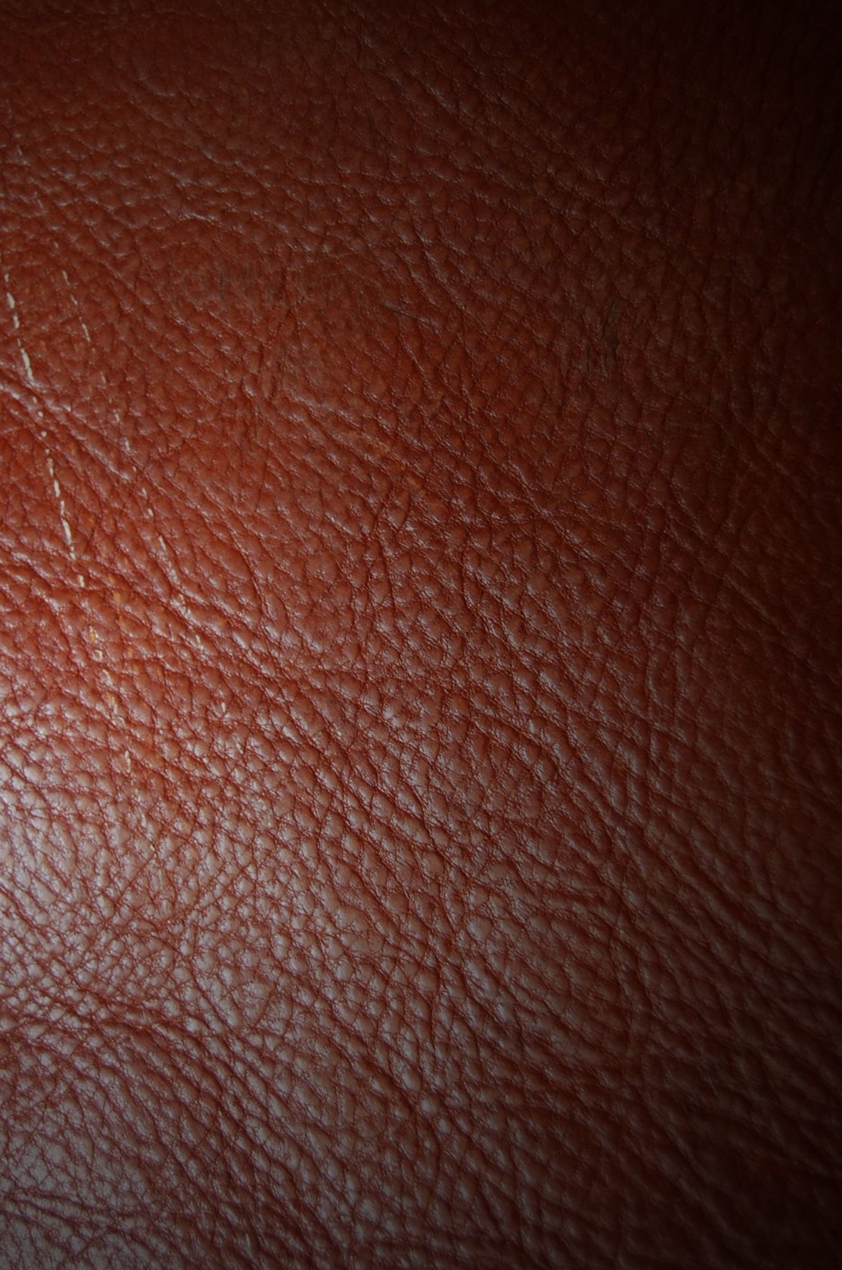 Текстура кожи