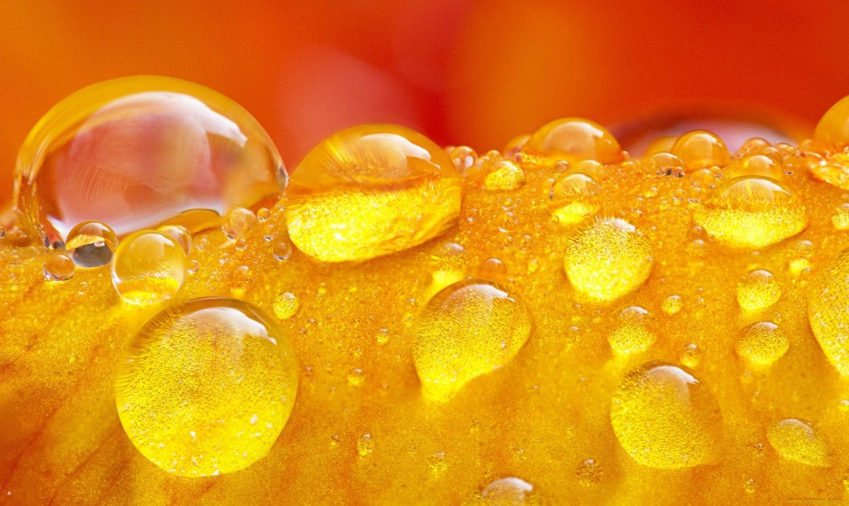 Сочный желтый