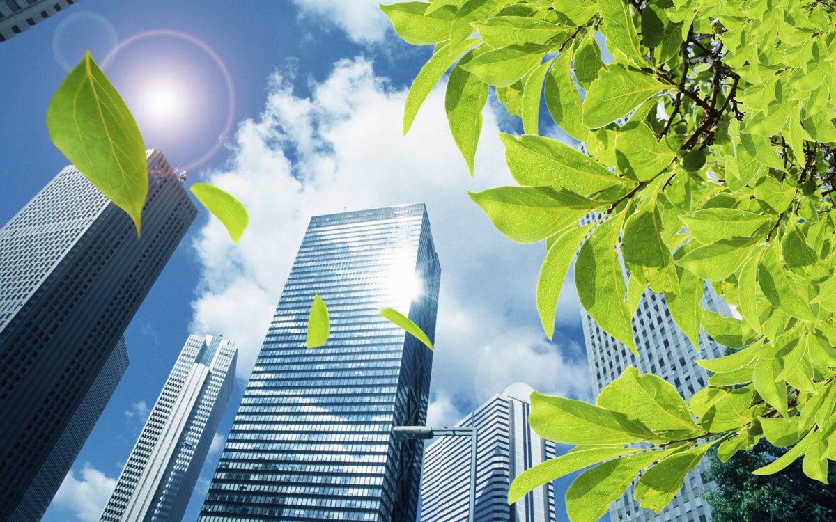 Экологический фон