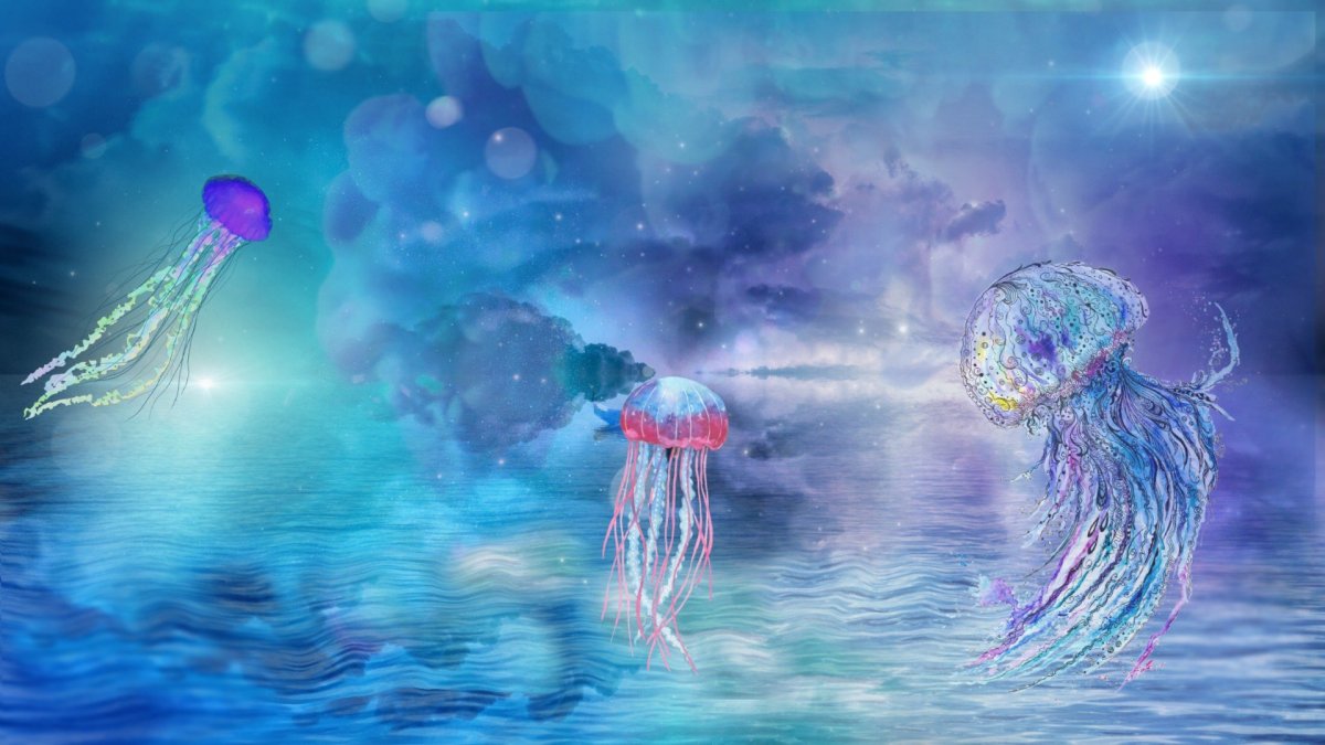 Сказочная медуза