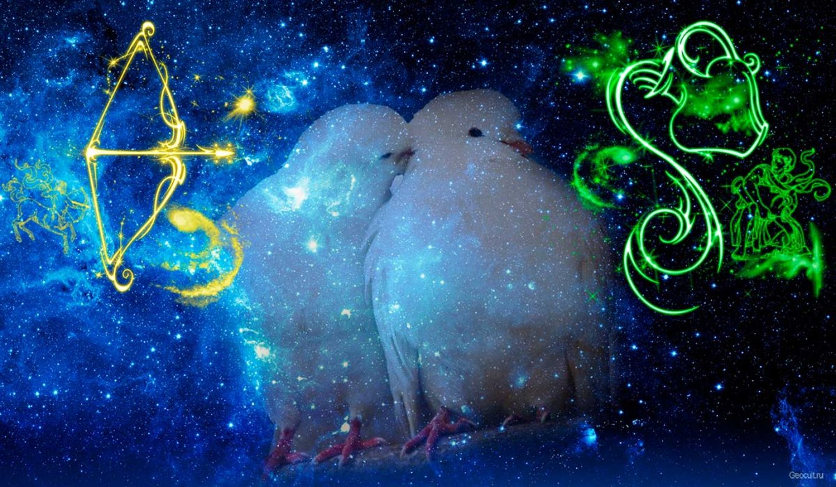 Стрелец и Водолей любовь