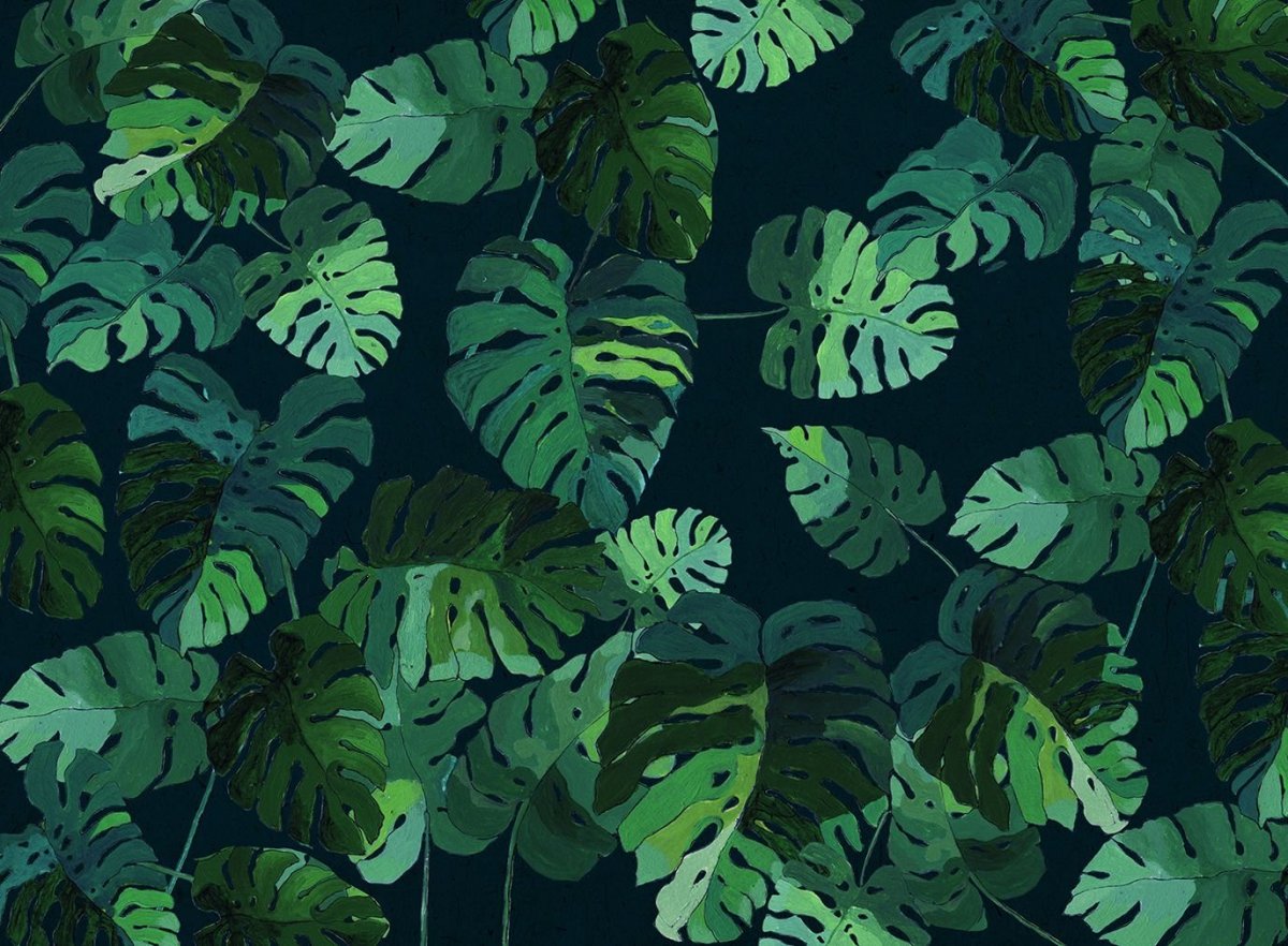 Тропические листья монстера