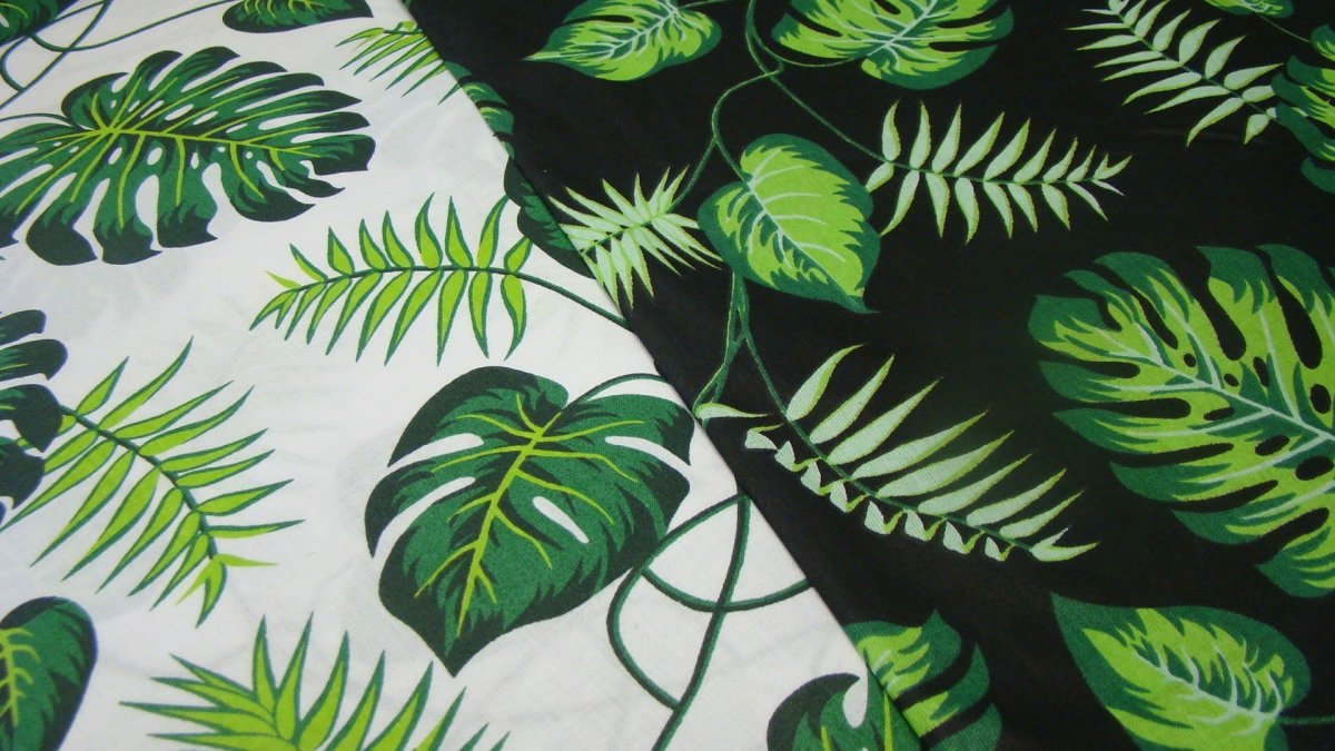 Папоротник пальмы монстера