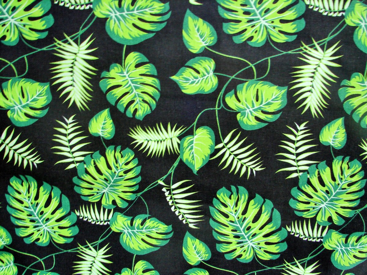 Лист монстеры