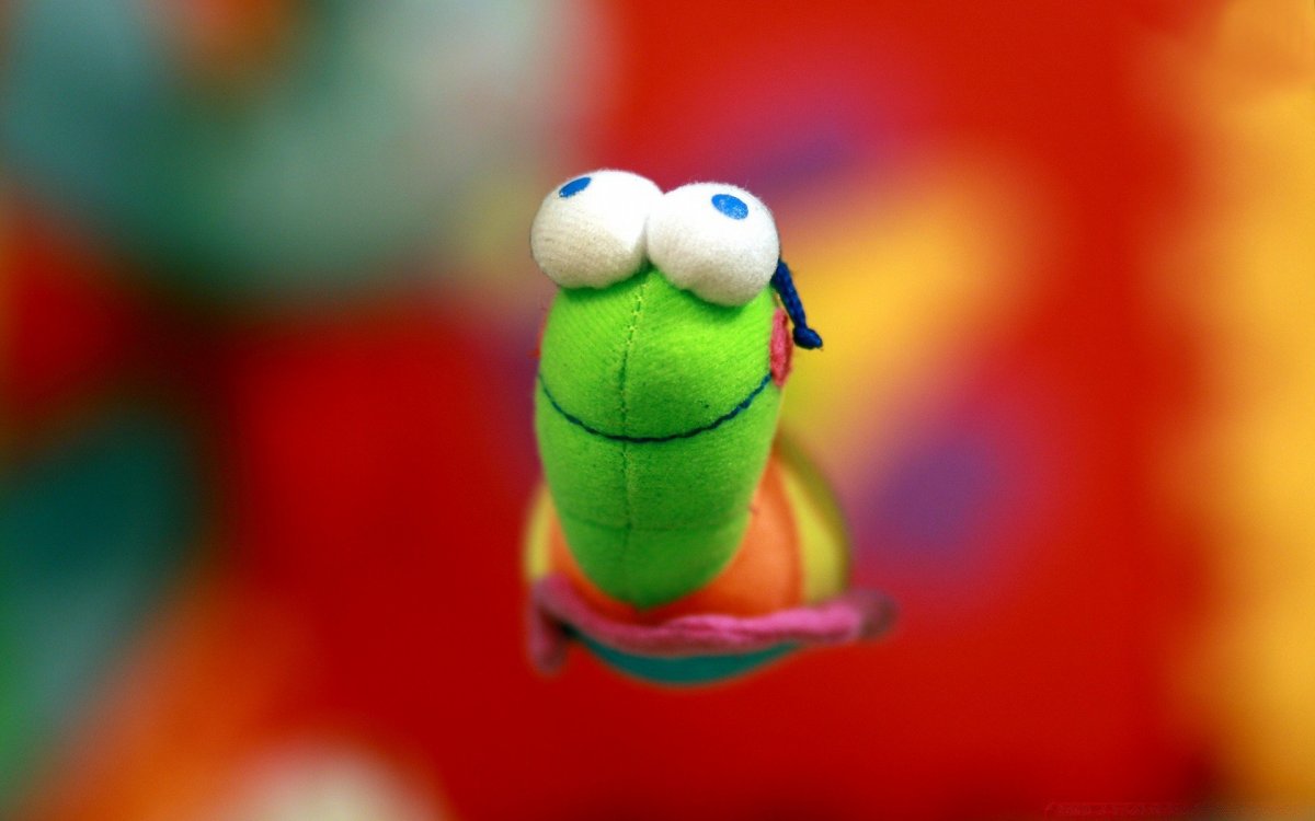 Заставка на рабочий стол прикольные