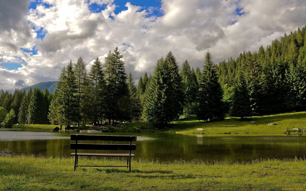 Природа горы озеро лес лавочка
