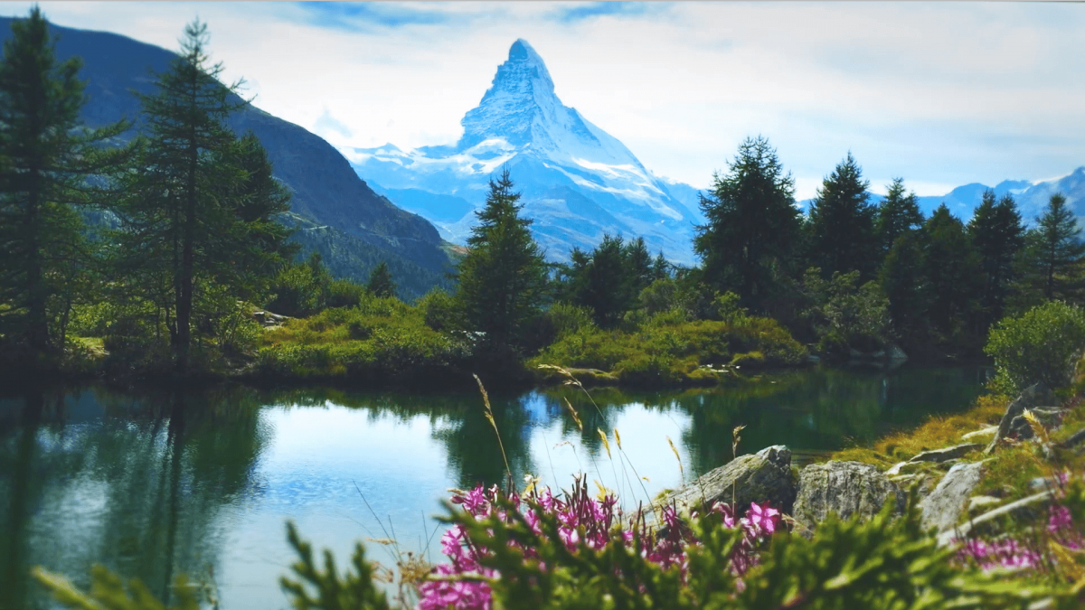 Релаксация природа