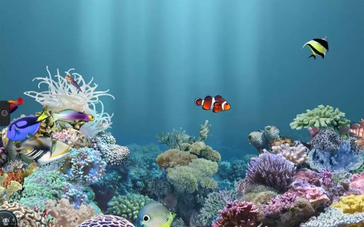 Аквариум на рабочий стол