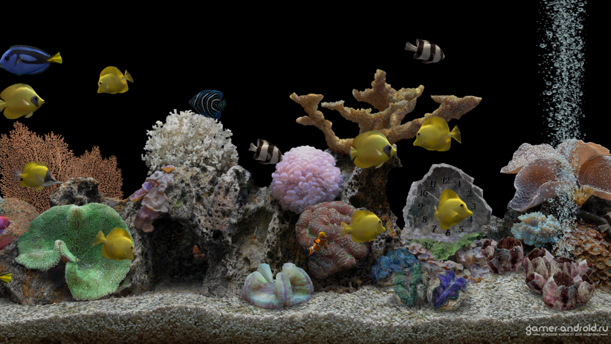 Живой аквариум