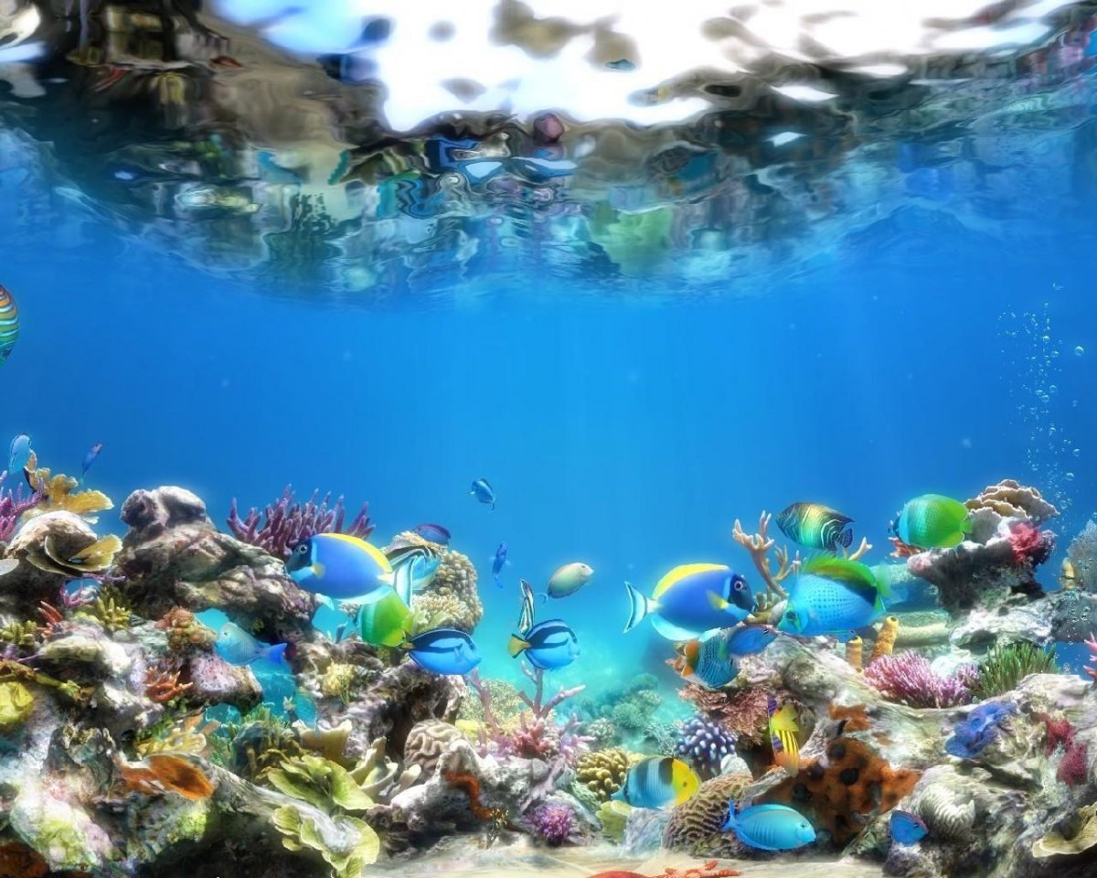 Живой аквариум