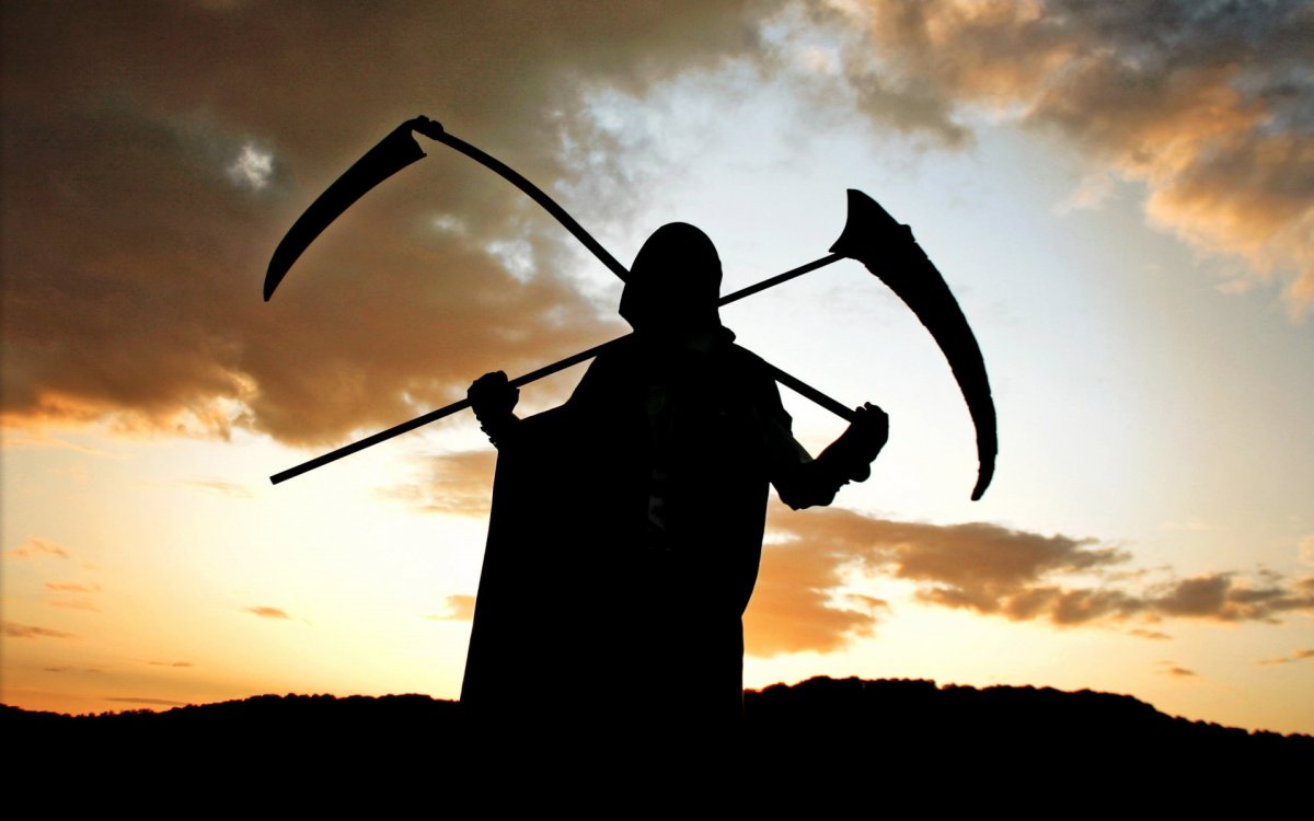 Человек Оса