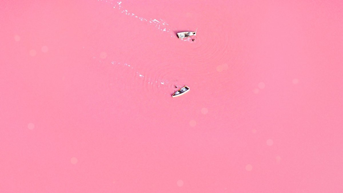 Розовые обои на ноутбук