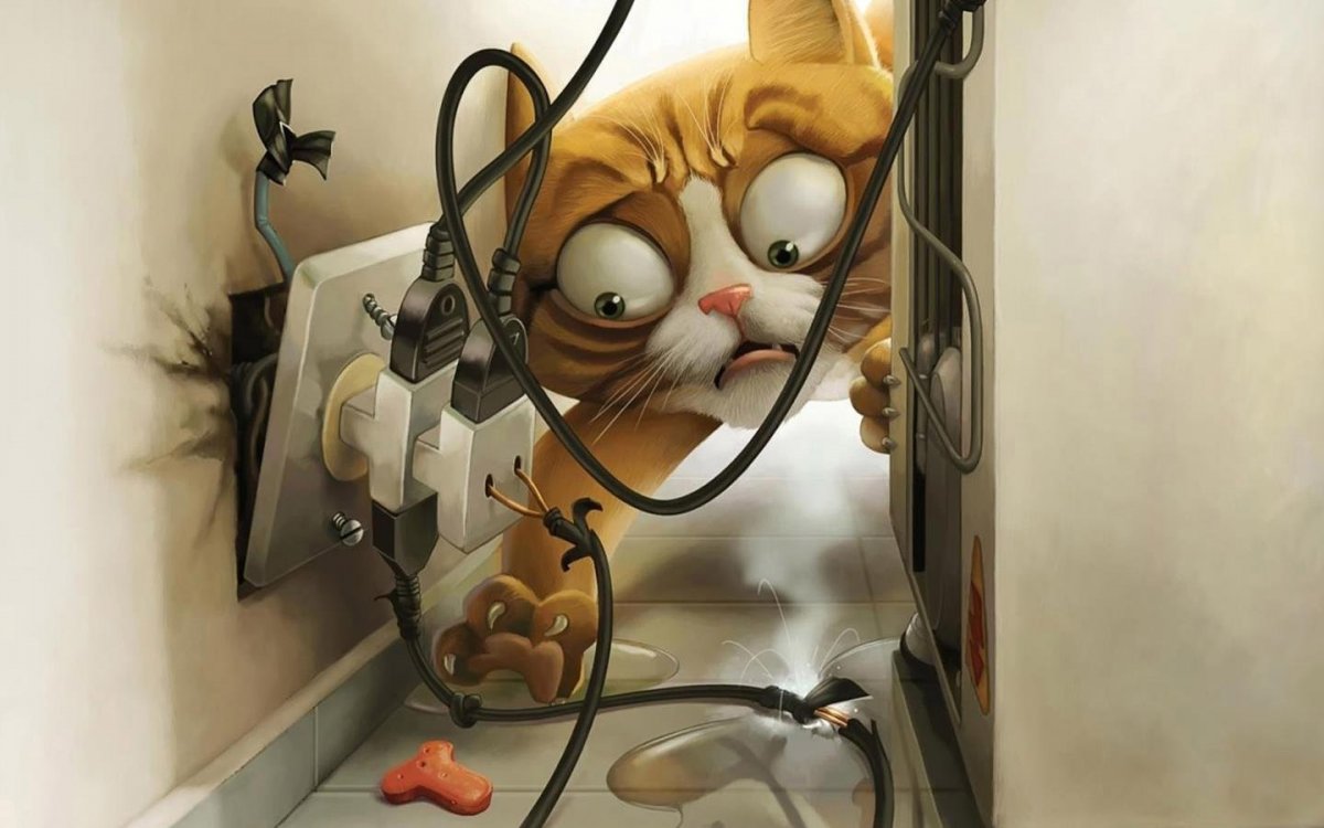 Фон на рабочий стол прикольные