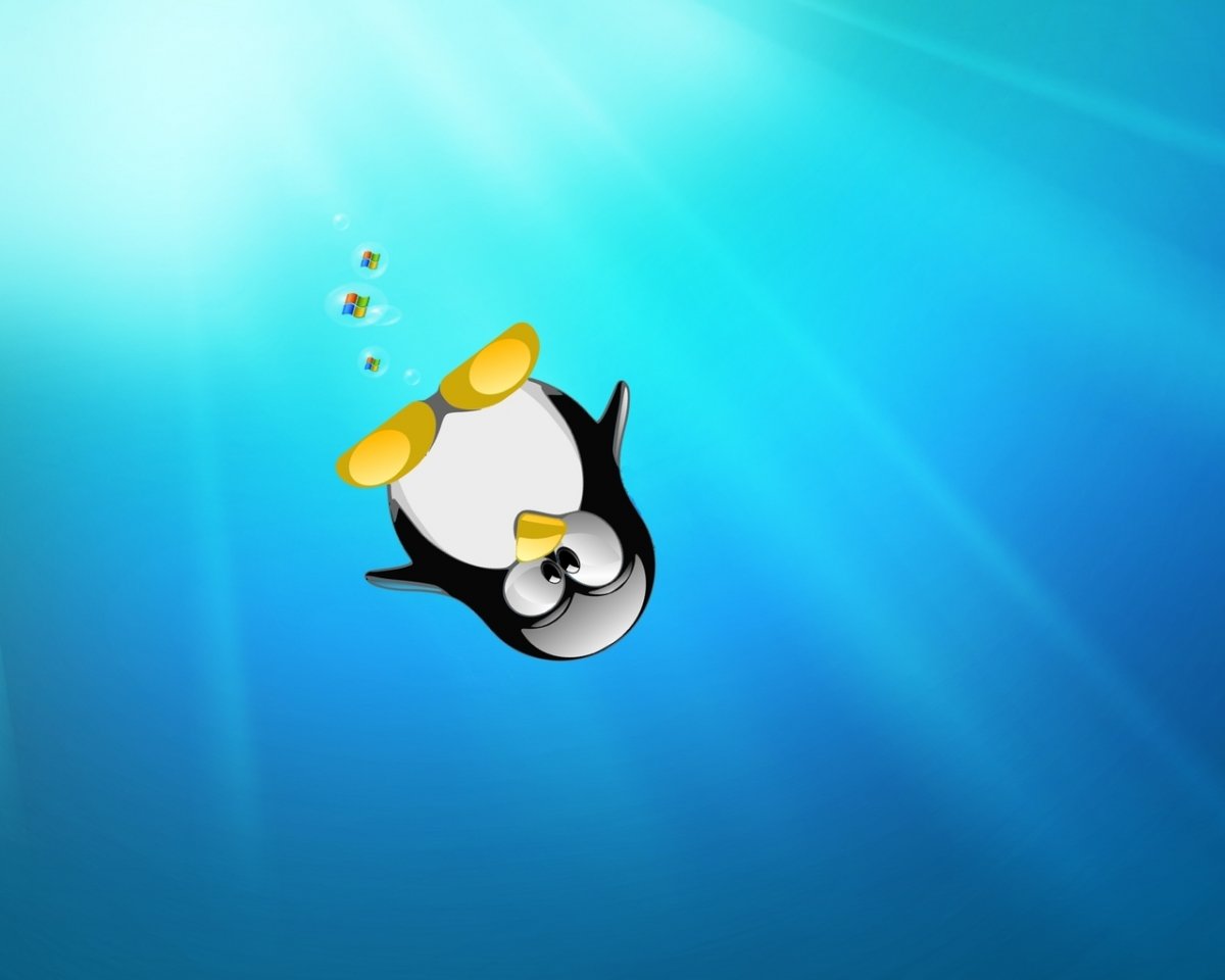 Пингвины обои